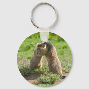 Chaveiro duas marmota novas