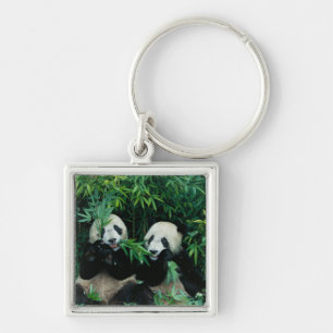 Chaveiro Duas pandas que comem o bambu junto, Wolong, 2