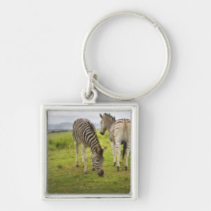 Chaveiro Duas zebras, África do Sul