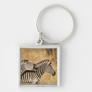Chaveiro Duas zebras que estão na grama