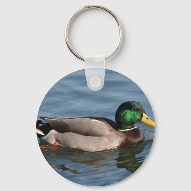 Chaveiro Duck Male Mallard (Frente)