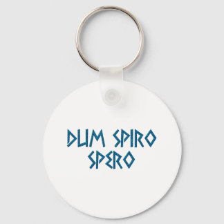 Chaveiro dum spiro spero latim latin
