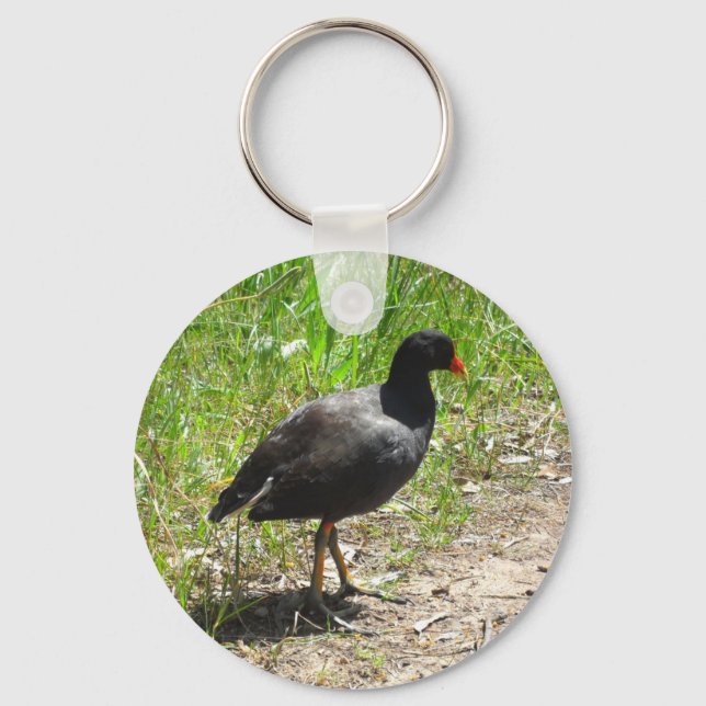 Chaveiro Dusky Moorhen (Frente)