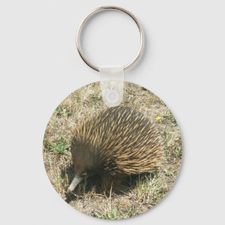 Chaveiro Echidna