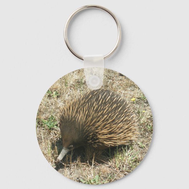 Chaveiro Echidna (Frente)