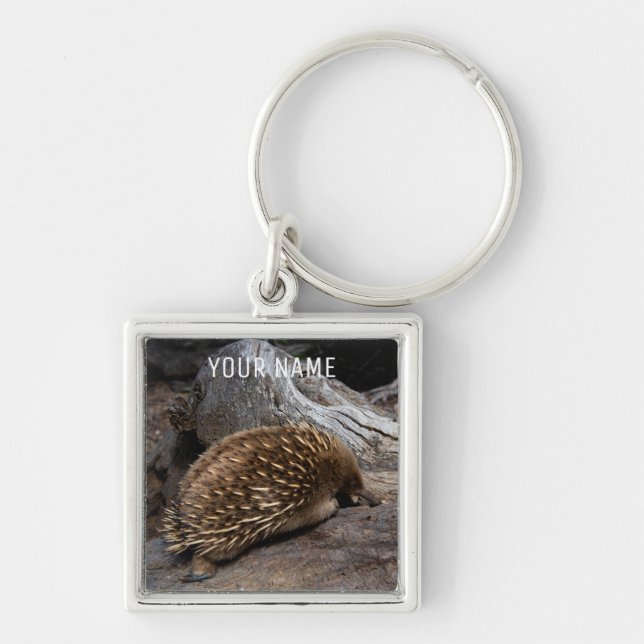 Chaveiro Echidna Austrália - Cute Animal Anteater (Frente)
