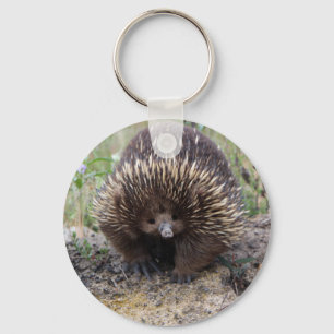 Chaveiro Echidna bonito de Austrália