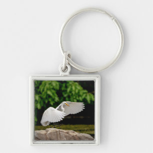 Chaveiro Egret do excelente