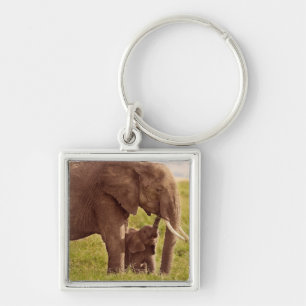 Chaveiro Elefante & bebê das imagens de Getty