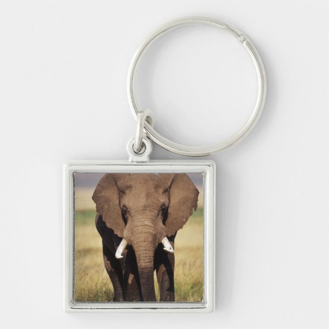 Chaveiro Elefante-da-savana-africano (Frente)