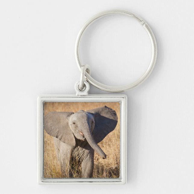 Chaveiro Elefante jovem da savana (Frente)