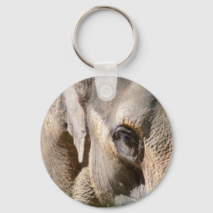 CHAVEIRO ELEPHANT