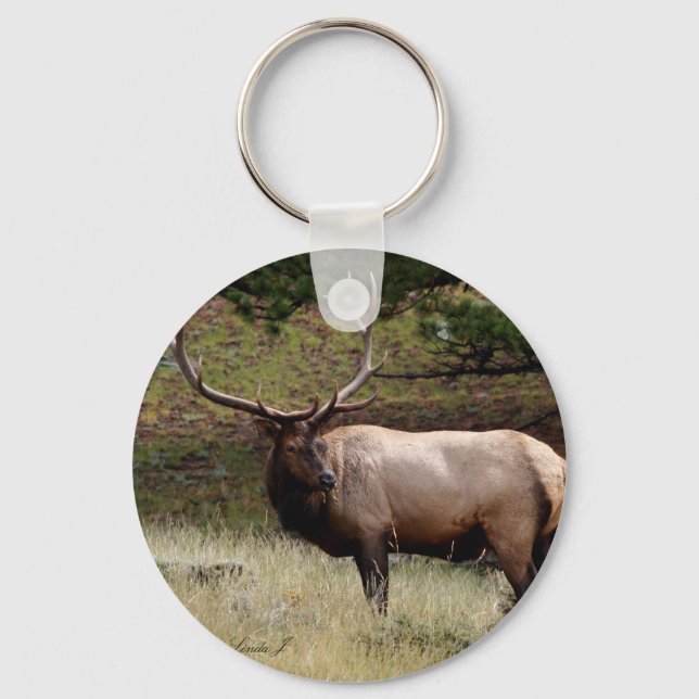 Chaveiro Elk na Selva (Frente)