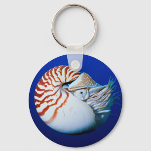 Chaveiro Encerramento De Nautilus Cambaleado