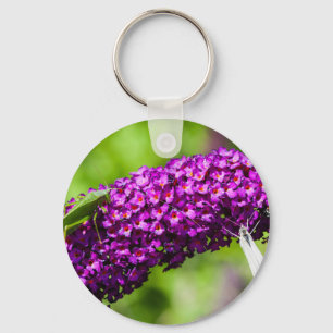 Chaveiro energia katydid