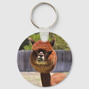 Chaveiro engraçado da alpaca