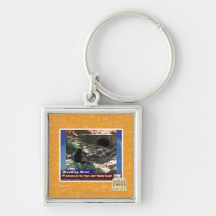 Chaveiro Entrada ao lado escuro