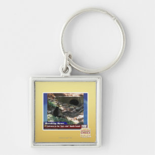 Chaveiro Entrada ao lado escuro