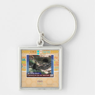 Chaveiro Entrada ao lado escuro