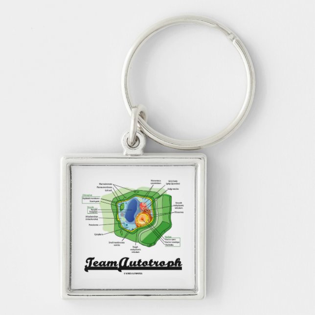 Chaveiro Equipe Autotroph (biologia celular da planta) (Frente)