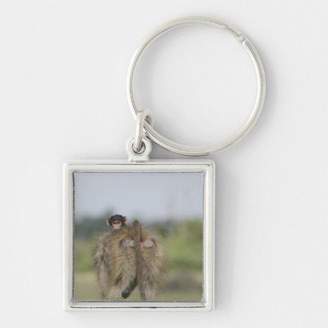 Chaveiro Equitação do babuíno de Chacma do bebê (ursinus do (Frente)