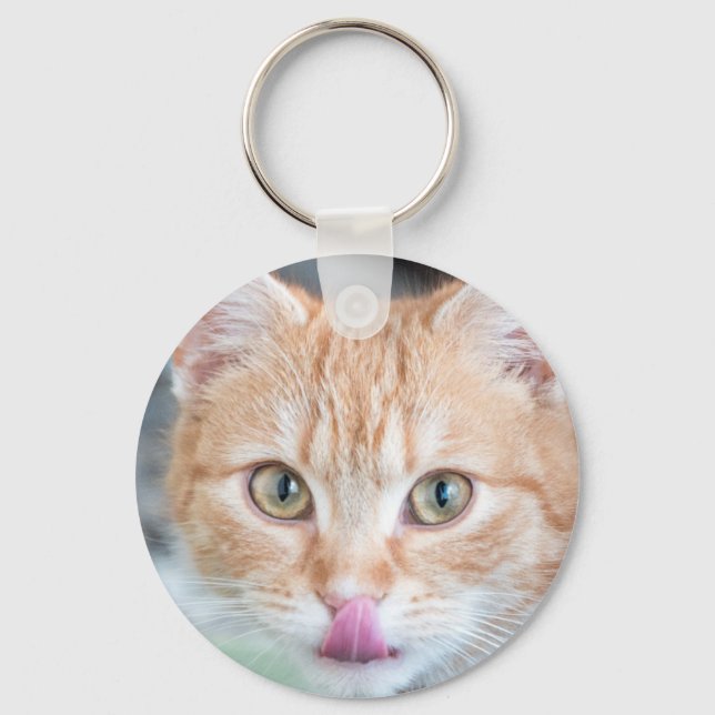 Chaveiro Escoamento do gatinho laranja (Frente)