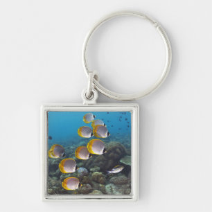 Chaveiro Escola dos peixes 2