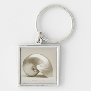 Chaveiro Escudo Pearlised do mar do nautilus