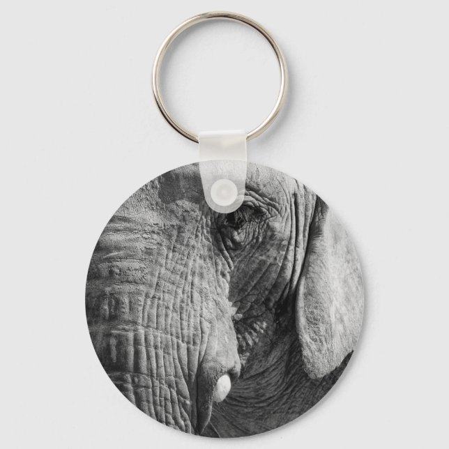 Chaveiro Espião (Frente)