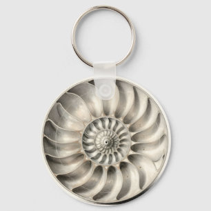 Chaveiro Espiral Geométrica de Concha de Náutilo Metálico
