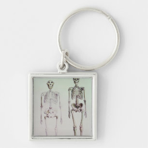 Chaveiro Esqueletos do Australopithecus Boisei