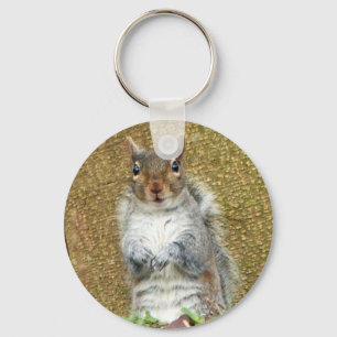 Chaveiro Esquilo