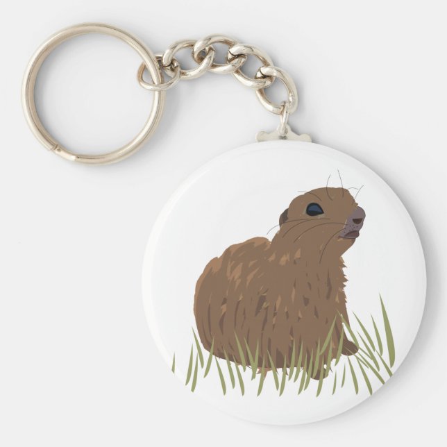 Chaveiro Esquilo (Frente)