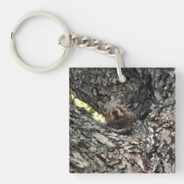 Chaveiro Esquilo