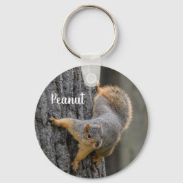 Chaveiro Esquilo de Raposa Personalizado em uma Árvore
