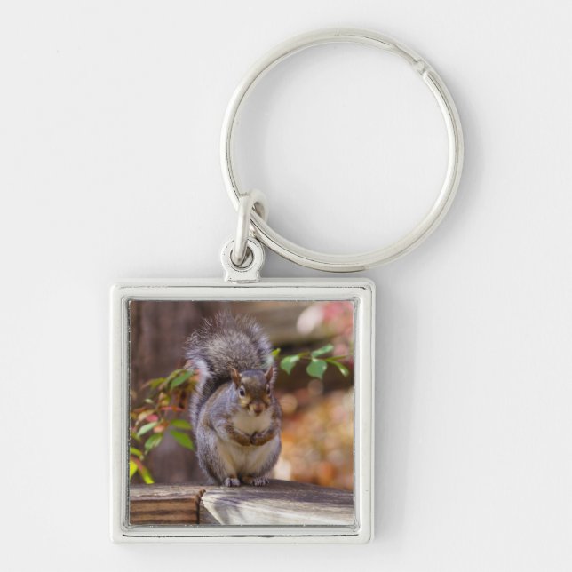 Chaveiro Esquilo Implante (Frente)