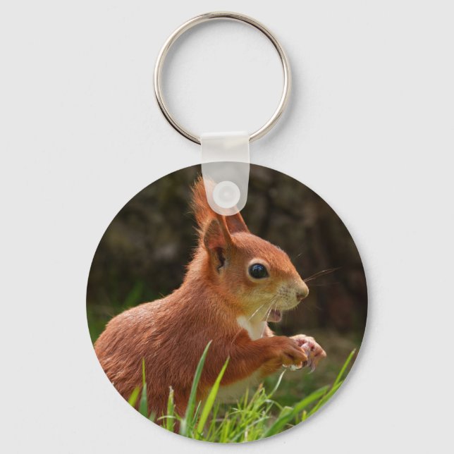 Chaveiro Esquilo Vermelho Cheio (Frente)
