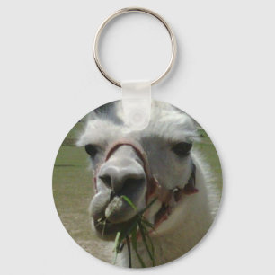 Chaveiro Está falando comigo? Corrente de Chave Llama