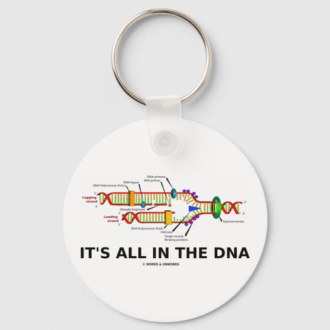 Chaveiro Está tudo no DNA (Frente)