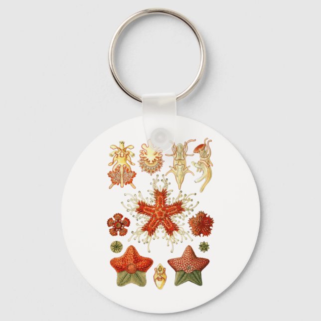 Chaveiro Estaleiro (Frente)