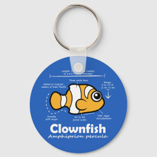 Chaveiro Estatísticas do Clownfish