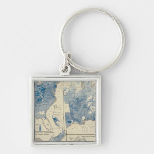 Chaveiro Estatísticas vitais, censo dos Estados Unidos