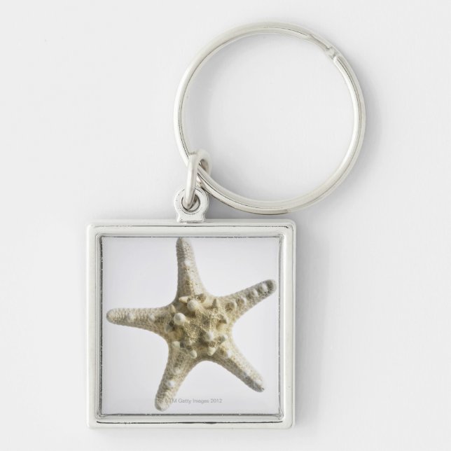 Chaveiro Estrela do mar (Frente)