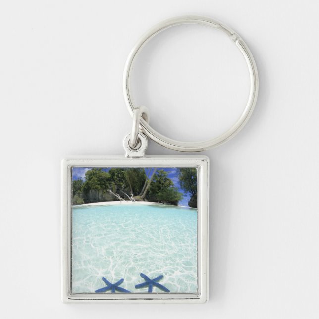 Chaveiro Estrelas do mar, Ilhas Rochosas, Palau (Frente)