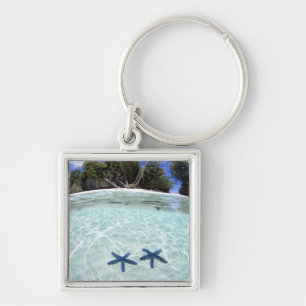 Chaveiro Estrelas marinhas, Ilhas Rock, Palau 2