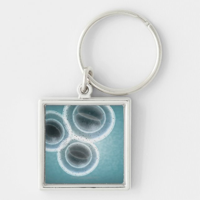 Chaveiro Estrutura de MRSA (Frente)