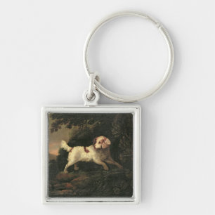 Chaveiro Estudo do Spaniel de Clumber