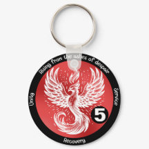 Etapa de recuperação de Ascensões da Phoenix AA, N