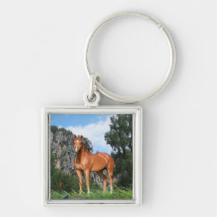 Chaveiro Eu amo Cavalos