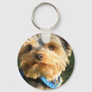 Chaveiro Eu amo Yorkies